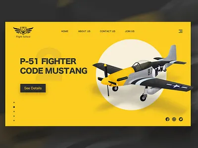 Legendary fighter P-51 ai design icon logo ps ui web 图标 设计