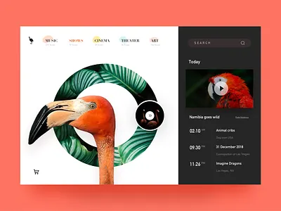 WILD PICTURESQUES & ART animal art article blog branding categories character concept design environment design homepage national geographic nature photo pictures ui ux web wild wildness