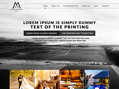 Mount Macedon - Wine Industry Mockup branding design identity illustration typography web