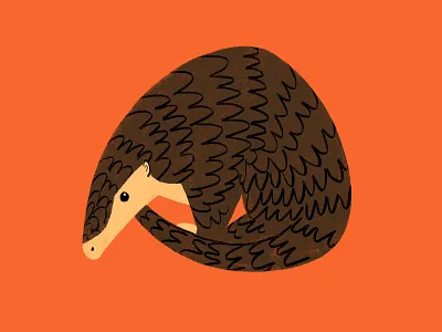 Chinese Pangolin animal digital illustration illustration art pangolin photoshop