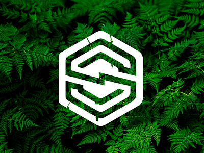 SC Hexagon Monogram Preview brand branding brandmark forsale hexagon icon identity initial letter logo logoforsale logogram logomark logotype mark monogram monogram logo sale symbol vector