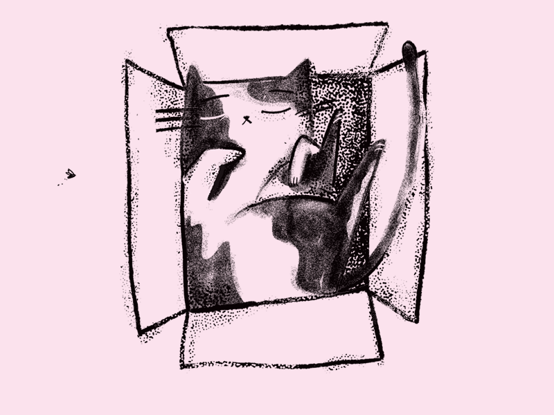 Cat in a box 🐱 animal animated gif animation animation 2d cat frame animation gif illustration photoshop wrocław