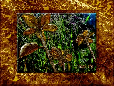 Colorful Garden Project 5 color composition digital art digital painting frame fusion garden graphic art graphic design illustration jardín mavicfe naturaleza nature painting photography photoshop photoshop art