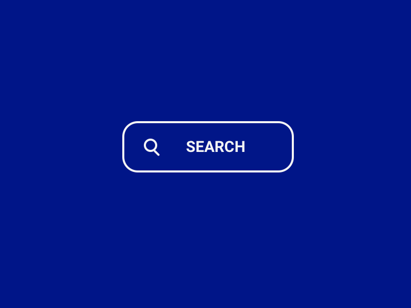 Search Bar 022 animation bounce dailyui input search search bar
