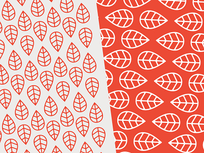 Milkweed Co. Pattern Exploration brand identity brand pattern branding design design icon illustration leaf leaf logo nature logo pattern pattern design red