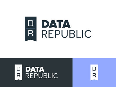 Data Republic Branding Concept brand design brand identity branding concept identity identity design logo