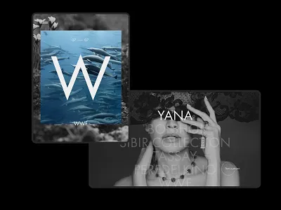 Developer portfolion website inner pages clean concept desktop front end front end developer front end development frontend interaction interface minimal minimalistic promo typography ui web website