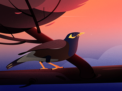 Myna art bird blue cloud evening hill illustration illustrations kerala bird landscape light myna nature project sunset tree vector winter
