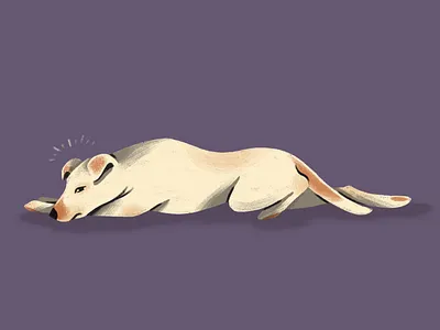 Nova animals dog illustration procreate texture