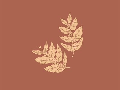 Coffee Plant coffee line work plant vector