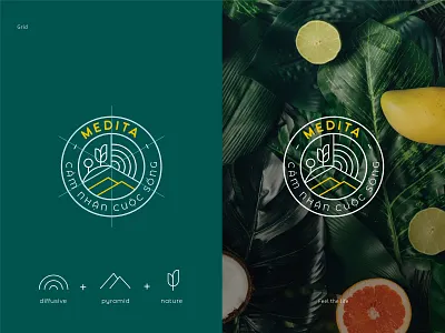Medita - Essential oil branding dark green design diffusive essential oils identity illustration logo nature pyramid yellow