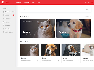 Pet Adoption Website design pet pet adoption website website design