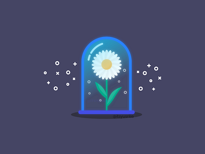 Daisy daisy flower