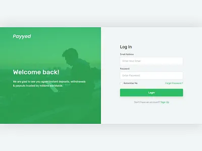Split Screen Login Page full screen html landing page layout login login page login page design login screen money transfer online payment responsive sign in sign in page split split fold split screen template ui ux website