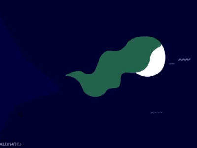 Space animation