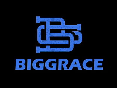 Biggraceblk branding logo design vector