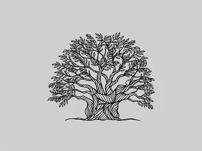 Snow Gum Tree’s Gift illustration branding design hand drawn illustration line art nature procreate app tree tree oil vector woman illustration