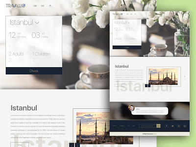 Travallio 🏨 design hotel ui user experience user interface ux website