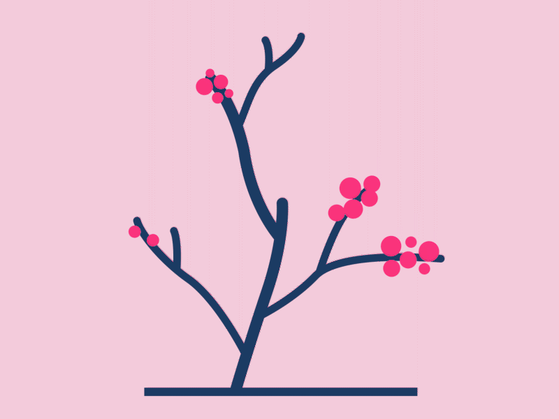 Plant Cicle - Chrizcomz aftereffects animation animation 2d animation after effects animation art animation design design flat flowers illustration loop minimal motion motion design motion graphic motion graphic design motiongraphics plant vector