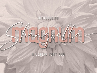 Magnum Shangrella Font Duo calligraphy classy fashion font font duo handwriting handwritten luxury sans serif script serif stylish typeface typography