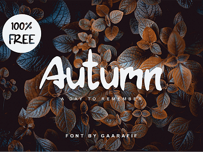 Autumn Free Display Font font free font free fonts free typeface freebie freebies typeface typography
