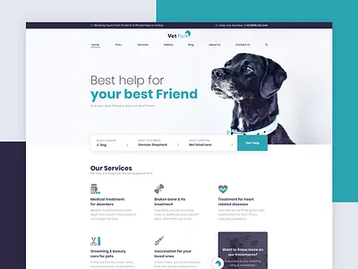 VetPark doctor dog health home html pet ui vet web website