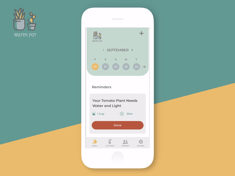 Water Pot after effect aftereffects app app design figma garden gardening gardens illustrator plants prototype