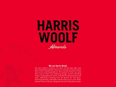 Harris Woolf Case Study branding branding design design graphic design logo