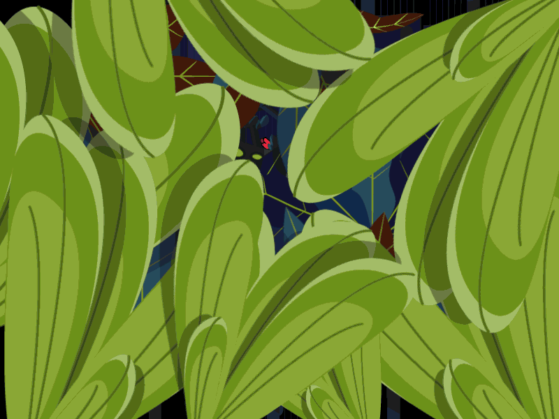 Hello Dribble! forrest invitation jungle leaves motiongraphics plant plant illustration temple