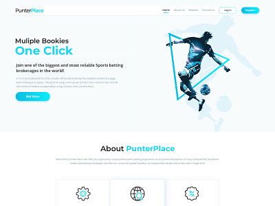 Punterplace design graphic ui uiux ux web