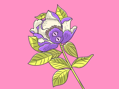 Peony botanical botanical illustration digital art digital illustration eyes flower flower illustration flowers illustration illustration art peony vector vector art vector illustration