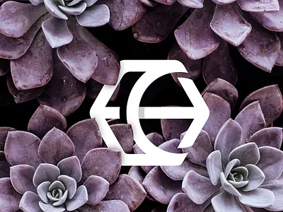 Hc or Ch Monogram Preview brand branding brandmark forsale graphicdesign icon identity initial letter logo logoforsale logogram logomark logotype mark monogram monogram logo sale symbol vector