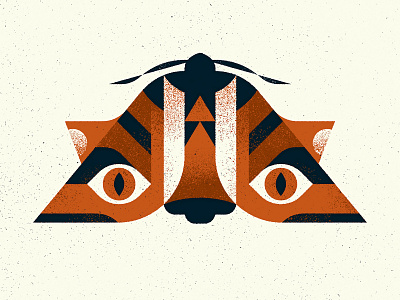 "Tiger" Moth animal design illustration illustrator insect moth nature photoshop specimen texture tiger totem vector