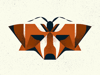 "Fox" Moth animal design fox illustration illustrator insect mimicry moth nature photoshop specimen texture totem vector