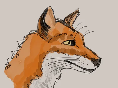Fox Sketch animal art fox illustration