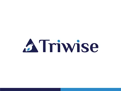 Triwise - Professional Development Solutions branding clean design icon logo minimal typography vector
