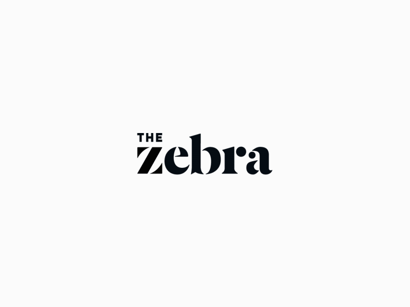 The Zebra - Design Guidelines Intro Animation color design guidelines icon motion