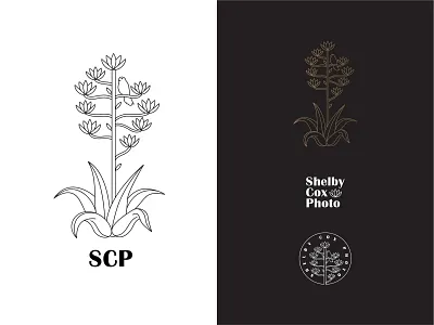Shelby Cox Photography Logo Pack agave big bend branding century plant design digital illustration kestrel logo logomark minimal photography photography logo simple texas typography vector west texas