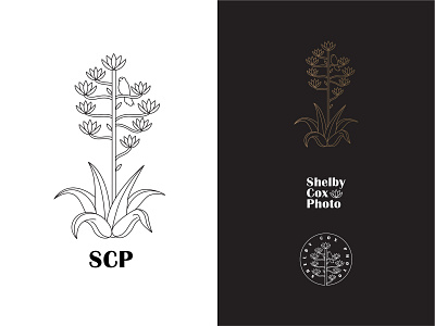 Shelby Cox Photography Logo Pack agave big bend branding century plant design digital illustration kestrel logo logomark minimal photography photography logo simple texas typography vector west texas