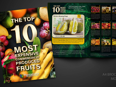 A4 Brochure for printing & web design layouts print design