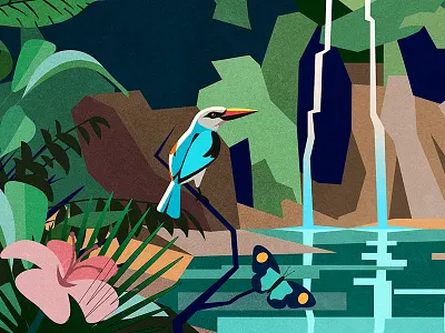 Woodland Kingfisher biodiversity bird conservation kingfisher nature wildlife woodland