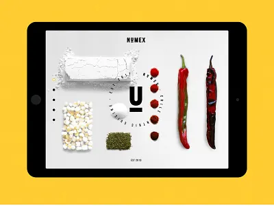 NuMex Brand Development adobe illustrator adobe photoshop adobe xd branding design graphic design minimal modern photography site design ux ui website