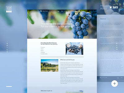 葡萄庄园企业网站Vineyard Business Website design enterprise station official website ui web 企业站 官网 设计 门户