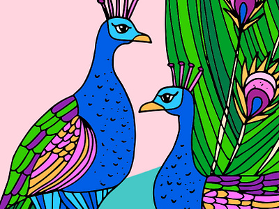 Peacock bird feathers handdrawn illustration peacock vector