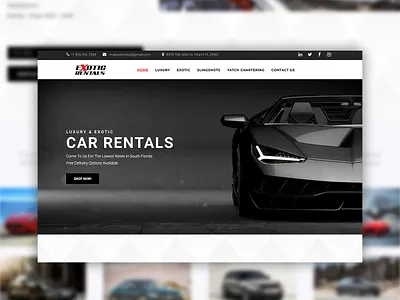 Miami Exotic Toys Website Design advertising advertising agency branding business creative entrepreneur fashion freelance google graphic design marketing marketing digital marketing strategy marketing tips online marketing social media startup web design website website design