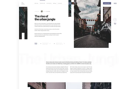 Article Layout 2 blog design blog post grid layout layout exploration magazine minimalistic newsfeed newsletter typography ui ux web layouts whitespace