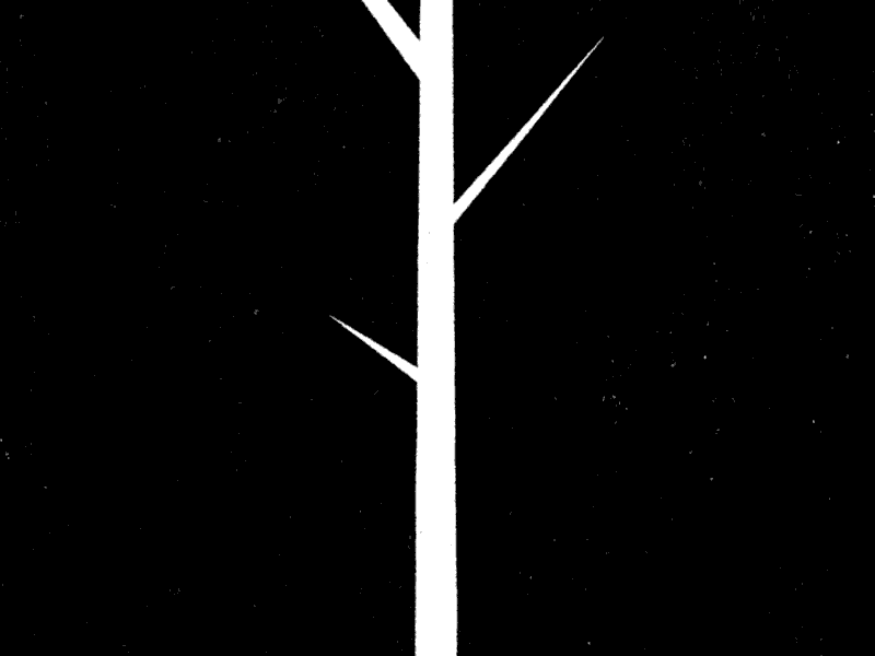 Butterfly butterfly fly flying tree