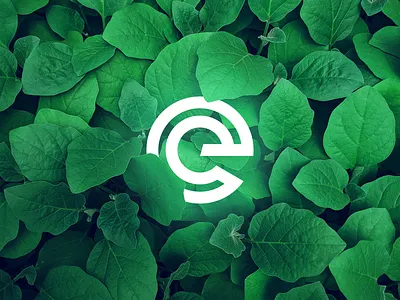 e logo branding design icon illustrator logo logotype sturtup typography