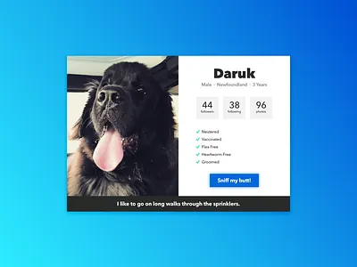 006: User Profile dailyui dog interface pets profile sketch ui uiux userprofile