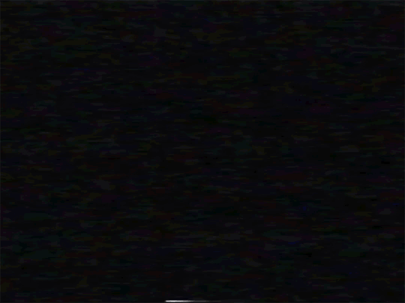 Sunny Hill Festival 2019 after effects animation branding c4d design identity typography